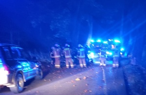 na zdjęciu strażacy podczas zdarzenia drogowego