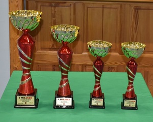 Puchary za miejsca 1-4